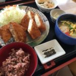 珍しい！豆腐のトンカツ実食！！